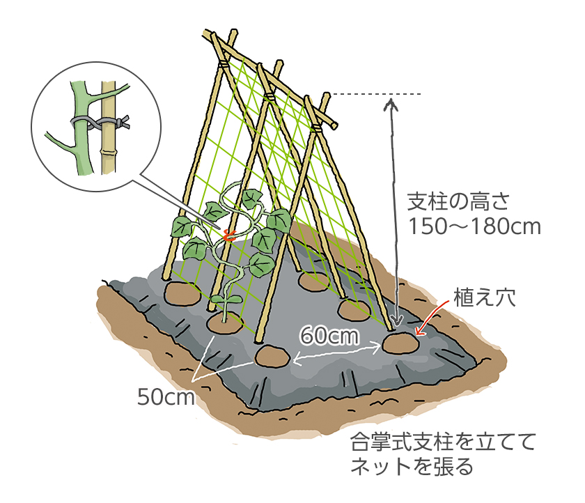 合掌式 サカタ